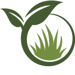 Strive Dahlia Planting