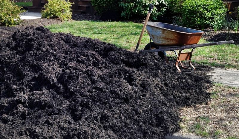 Black Mulch Installation in Honolulu, HI