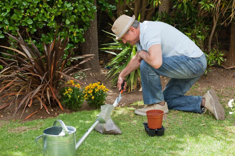 Dahlia Planting detail