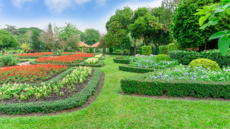 Shrub Replacement in Ventura County, CA